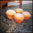 /album/fotogaleria/a150184-10151495260852380-178552475-n-jpg/